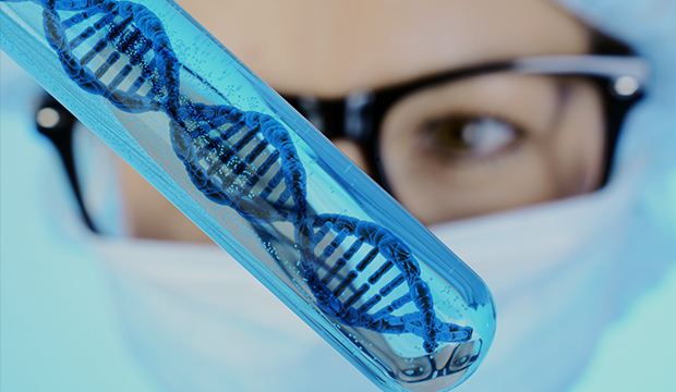 한의진 서비스 소개